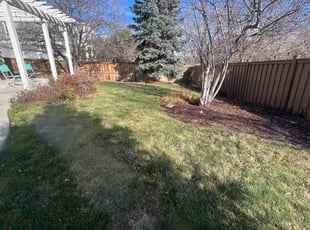 Leaf Removal by Jesse Nunez for Nathaniel S. in Littleton, CO