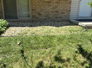Weeding by William Sidzyik for Jackie F. in Omaha, NE