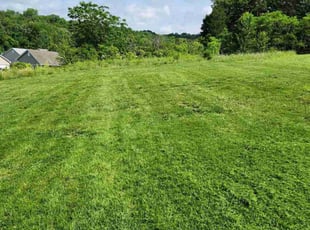 Kimberlee H.'s Lawn Mowing Service service result