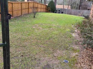 Leaf Removal by Jesus Fortanel for Kenneth M. in Houston, TX