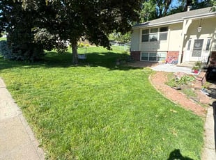 Whitney J.'s Yard Cutting service result
