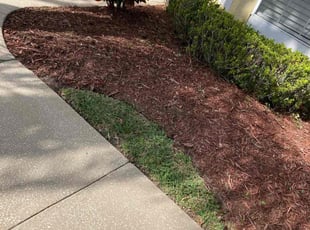 Weeding by Jay Jackson for Otis J. in Davenport, FL