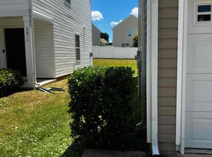 Bush Trimming by Andrew Austin for Angela B. in Dallas, NC