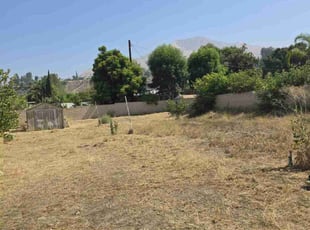 Cleanups by Ricky Garcia for Bree N. in Highland, CA