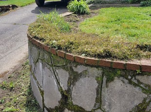 Cleanups by Jeffrey Preece for Rebekah M. in Portland, OR