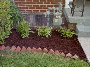 Mulching by Krishnu Persaud for Tiffany F. in Washington, DC