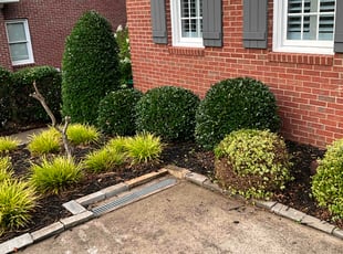 Bush Trimming by Abdoulaye Niang for Jeff s. in Kennesaw, GA