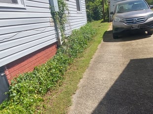 Leaf Removal by Isaiah Cuthbertson for Iesha H. in Charlotte, NC