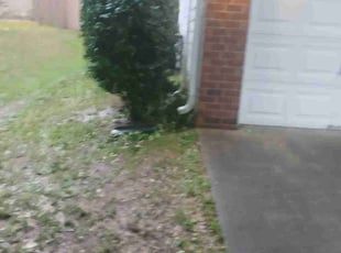 Bush Trimming by Joshua Walker for Rashell D. in Lithonia, GA
