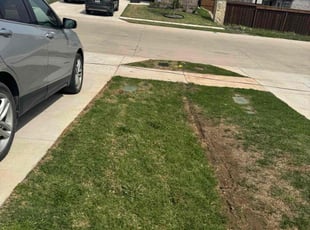 Weeding by Nicolas Simkins for JR C. in Northlake, TX