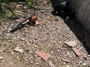 Leaf Removal by Davian Clarke for Amy P. in Centennial, CO