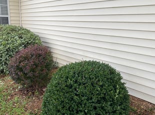 Bush Trimming by Fredrick thomason for Joel P. in Easley, SC