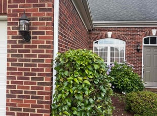 Bush Trimming by Tyler Wade for Malikah S. in Indian Trail, NC