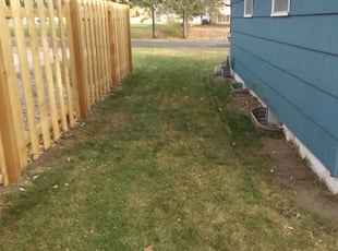 Leaf Removal by Ross Olin for Dave S. in Minneapolis, MN