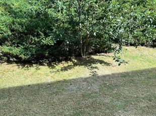 Cleanups by Phillip StPreuve for Yan-Jing N. in Suwanee, GA