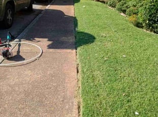 Darryl R.'s Yard Cutting service result