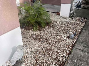 Weeding by Jordan Davis for Joseph D. in Davenport, FL