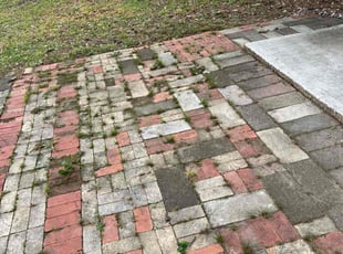 Cleanups by Giovanni Sosa for Tamara S. in Tyler, TX