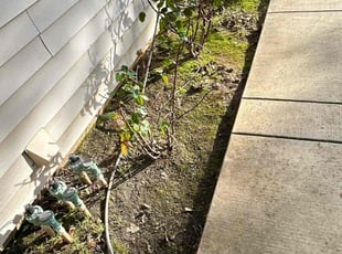 Weeding by Gabriel Aldrete for Ulla C. in Citrus Heights, CA