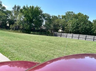 Christy D.'s Lawn Mowing service result