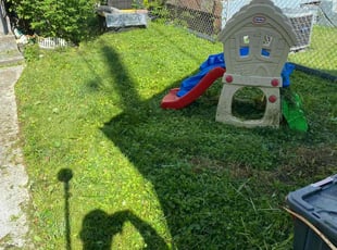 Bush Trimming by Carlos Williams for Diana C. in Washington, DC