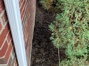 Weeding by Tonio Dewitt for Alicia T. in Blue Ash, OH