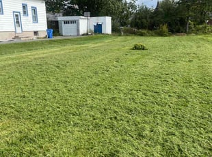 Billinda J.'s Lawn Care service result