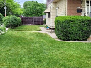 Bush Trimming by Ronnie Anderson for Angela B. in Milwaukee, WI