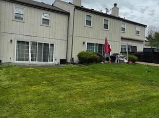 Joshua T.'s Lawn Mowing service result
