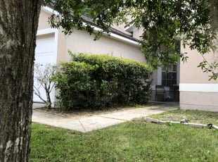 Bush Trimming by Melani Brown for Meredith M. in Apopka, FL