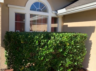 Bush Trimming by Lenard Moody for Michael B. in Jacksonville, FL