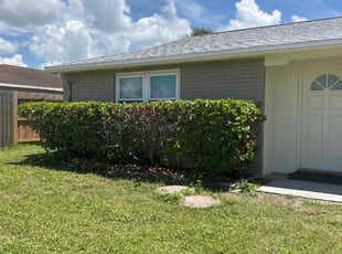 Bush Trimming by Cheryl Badger for Melissa B. in Port Richey, FL