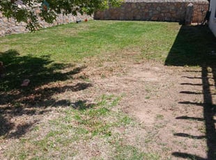 Weeding by Kevin George for Veronica C. in Fort Bliss, TX