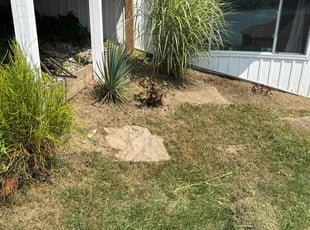 Weeding by Crystal Lamb for Hanane F. in Lowell, MI