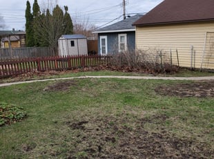 Leaf Removal by Anthony Allison for Doug W. in Minneapolis, MN
