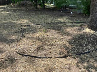 Leaf Removal by Gabriel Aldrete Contreras for Laurie P. in Lincoln, CA