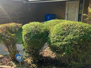 Bush Trimming by Dennis Boyle for jackie h. in Broken Arrow, OK