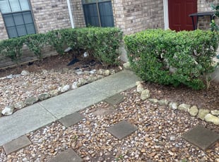Weeding by Freddy Delgadillo for Stacy V. in San Antonio, TX