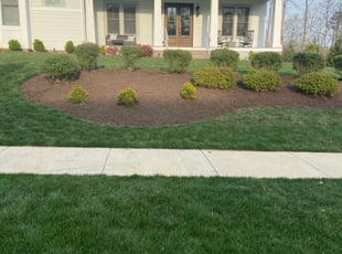 Mulching by EV Jenkins-Benavides for Jeff B. in Midlothian, VA