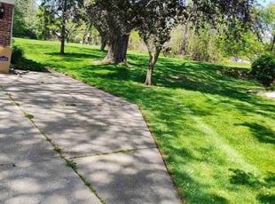 Cleanups by Shane Palmer for Tony C. in Farmington Hills, MI