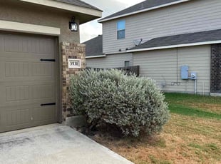 Bush Trimming by Marcus Ward for Jose M. in New Braunfels, TX