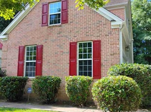 Tanya L.'s Bush Trimming service result