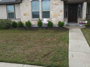 Weeding by Guy Torres for Melanie B. in Pflugerville, TX