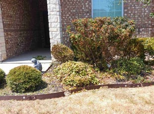 Bush Trimming by Renarld Gardner for Deborah W. in Crowley, TX