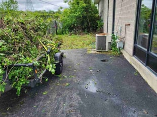 Cleanups by Dana Cross for Jenn M. in Syracuse, NY