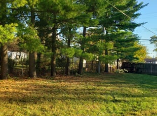 Cleanups by Scott Ruch for Carl M. in Columbus, OH