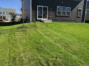 Robert P.'s Lawn Mowing service result