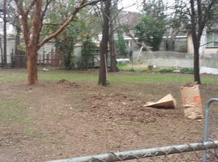 Leaf Removal by Edward Rodriguez for Larry M. in Fort Worth, TX