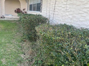 Bush Trimming by Hanif Ibn King for Jonathan B. in Lakeland, FL