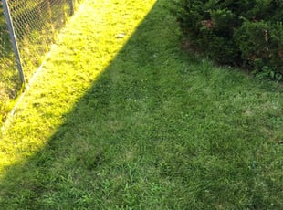 Nichole J.'s Lawn Service service result